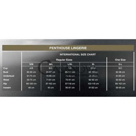 Основное фото Комплект белья Penthouse Hypnotic Power чёрный
