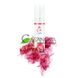 Дополнительное фото Лубрикант на водной основе Easyglide Energy Cherry с ароматом вишни 30 мл