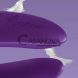 Дополнительное фото Вибратор для пар с дистанционным управлением Satisfyer Double Plus Remote пурпурный